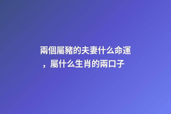 兩個屬豬的夫妻什么命運，屬什么生肖的兩口子-第1張-觀點-玄機派